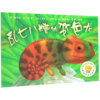 乱七八糟的变色龙/聪明豆绘本系列 商品缩略图0