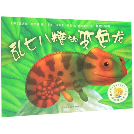 乱七八糟的变色龙/聪明豆绘本系列 商品图0
