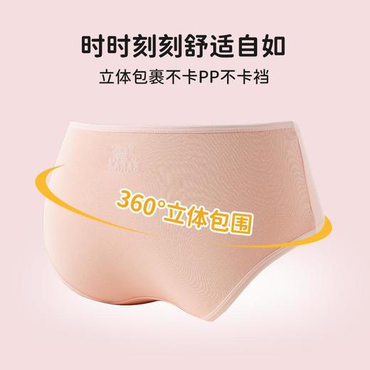 3部 顶瓜瓜 羊儿儿童三角内裤AO6811 商品图3