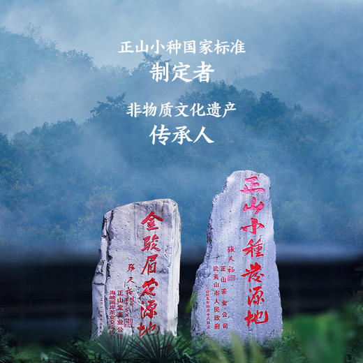 正山堂 骏眉红红茶 100g【CZ】 商品图2