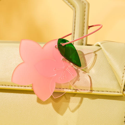 博物杂志 2022年增刊礼盒《身边花草图鉴》 商品图5