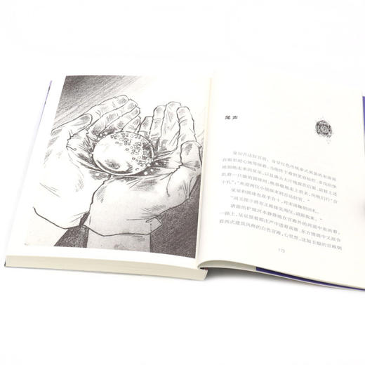 沉没的彩蛋/星球寻宝记 商品图4