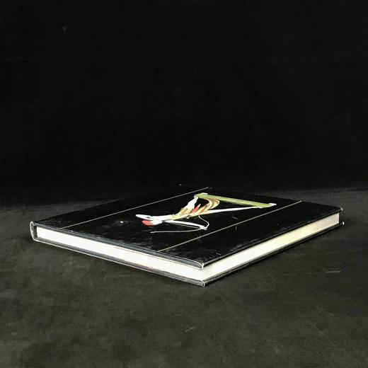 装饰派艺术百科全书 350余幅插图 精装16开 商品图2