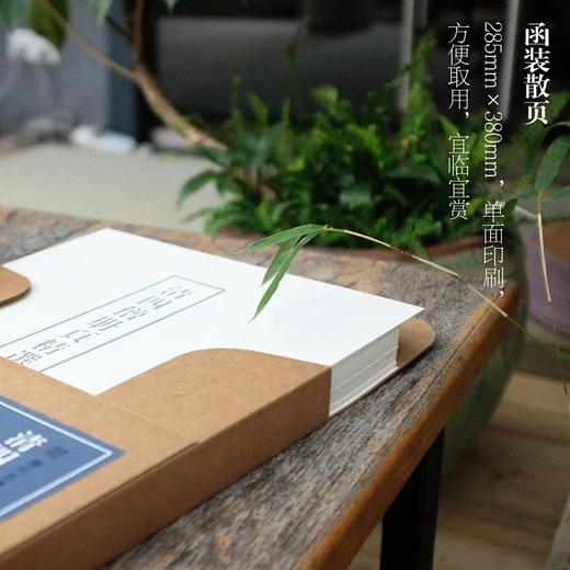 《清四僧册页精选》，100幅，285mm×380mm，单面印刷，浙江人民美术出版社2022年版，定价300，售价240元。

“四僧”， 石涛（原济）、八大山人（朱耷）、髡残（石溪）和渐江（弘仁）四位 商品图1