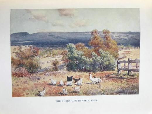 1927年 澳大利亚风物志 32幅彩色插图 漆布精装32开 商品图11