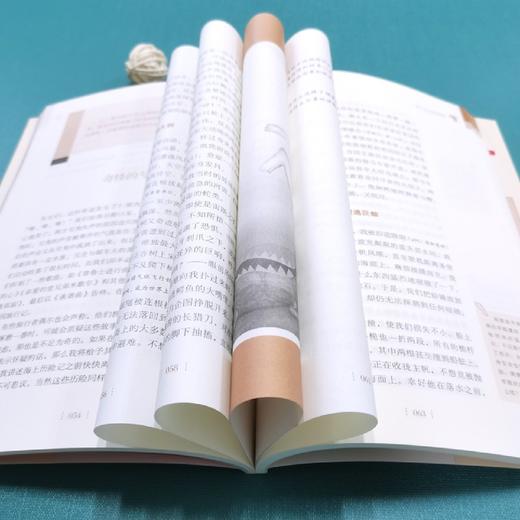 吹牛大王历险记(彩插励志版无障碍阅读)/中小学生阅读指导丛书 商品图3