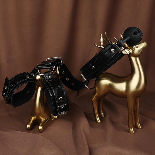 谜姬 反手束缚套组 男女通用捆绑带简易束缚带互动调教SM情趣道具夫妻房事辅助姿势情趣玩具手脚铐成人性用品 反手双臂束缚套装 商品图5