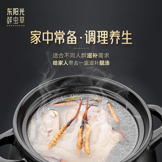 东阳光冬虫夏草 冻干虫草50g 3~4根/克 高档实木礼盒装 商品图4