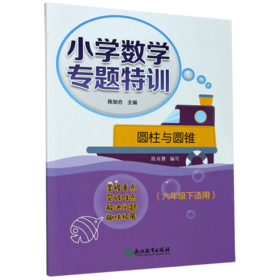 圆柱与圆锥(6下适用)/小学数学专题特训