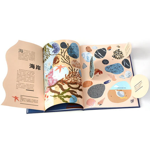 奇想国 海洋的奥秘6岁+精装  海洋科普百科全书精装绘本图画书奇想国果童书激光镂空设计翻翻拉页层次设计全景式呈现海洋激发自然科学兴趣QXG 商品图2
