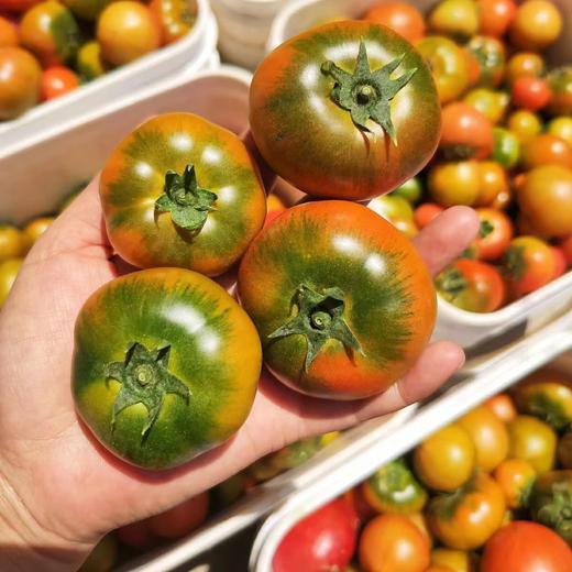 戴安娜草莓西红柿，有机种植，脆甜！多汁！番茄中的“劳斯莱斯”，番茄味浓郁，肉质细腻~ 商品图6