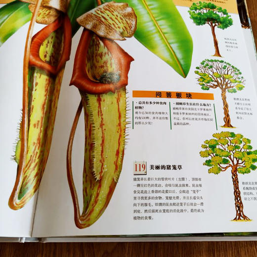 阿拉丁少年自然百科（精装） 商品图2