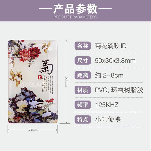 〖8103〗菊花lD125 商品图1