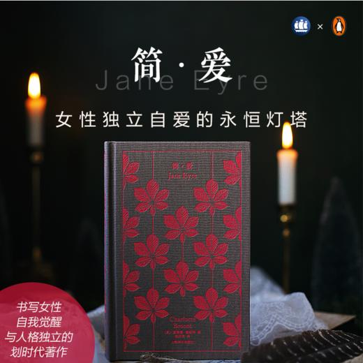 企鹅布纹经典：简·爱 I  勃朗特作品 商品图0