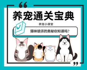 猫咪胡须的奥秘你知道吗？