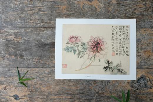 《清四僧册页精选》，100幅，285mm×380mm，单面印刷，浙江人民美术出版社2022年版，定价300，售价240元。

“四僧”， 石涛（原济）、八大山人（朱耷）、髡残（石溪）和渐江（弘仁）四位 商品图9