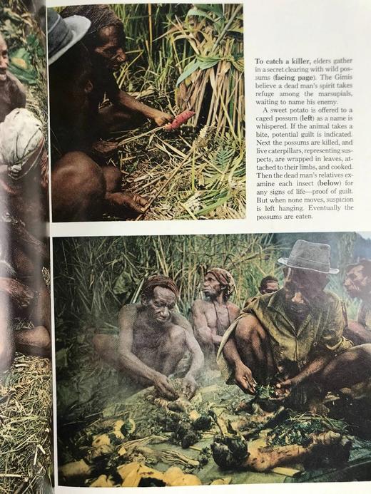 1977年下半年 国家地理杂志 约千幅彩色插图 精装16开 商品图10