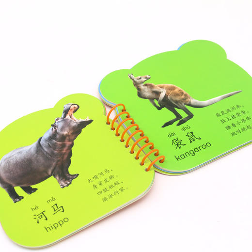 动物世界/宝宝早教启蒙圈圈书 商品图4