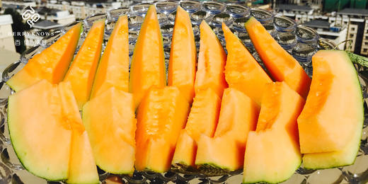 百里家的蜜瓜 全是一藤一瓜 自然成熟 又香又甜 天南地北的好蜜瓜|百里食 商品图1