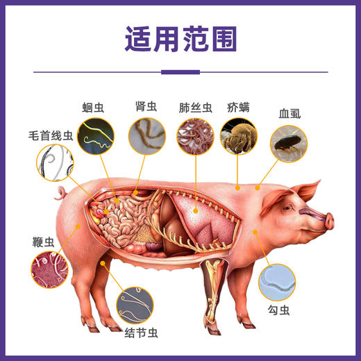 多拉菌素注射用液兽药牛羊兽用杀螨虫芥螨蠕形螨线虫病 商品图2