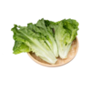意大利生菜  Italian lettuce 商品缩略图0