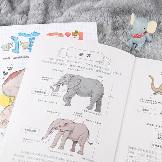 小象日记 商品图3