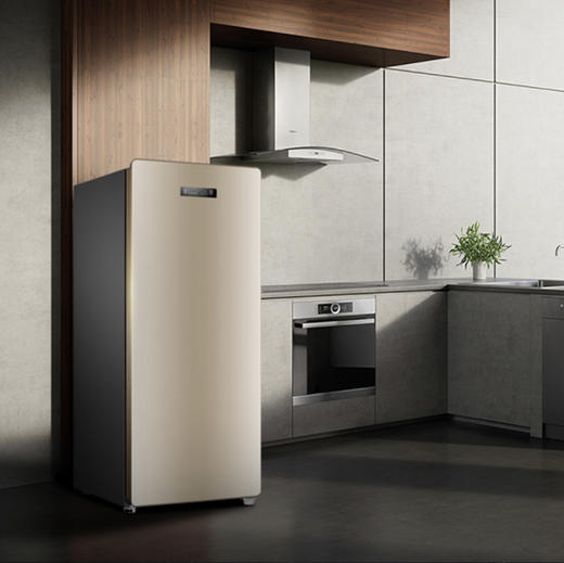 海尔（Haier）冷柜BD-138W小富豪炫金 商品图12