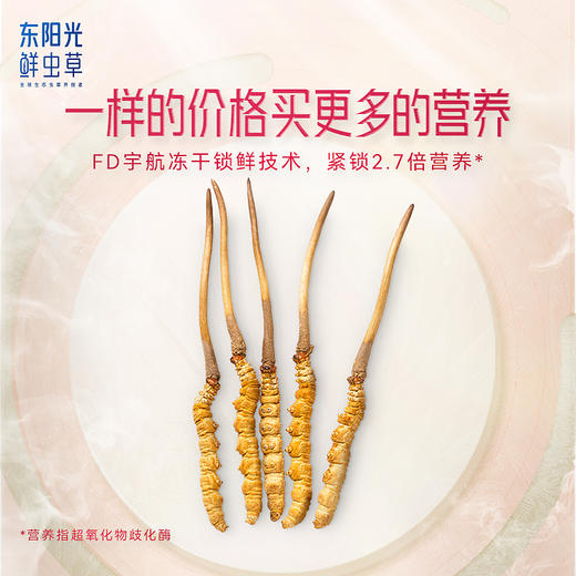 【国民礼盒】东阳光冬虫夏草 冻干虫草10克 3-4根/克 明星同款 天赐的声音滋补礼盒 商品图9