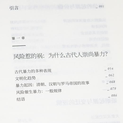 陈志武《文明的逻辑：人类与风险的博弈》（上下册） 商品图4