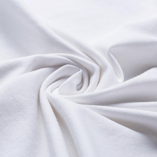 海棠季·限量版刺绣组合图文短袖T恤 商品图3