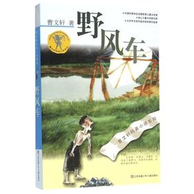野风车/曹文轩纯美小说系列