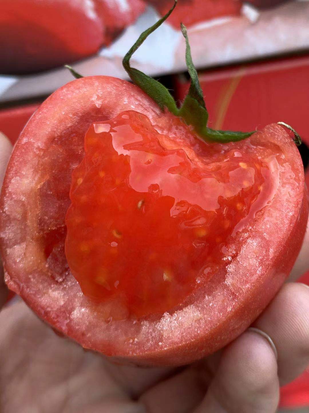 周五取货：【普罗旺斯西红柿】一箱毛重4斤左右，新鲜，汁水充足！！