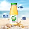 绿杰发酵型苹果醋玻璃瓶260ml 商品缩略图0