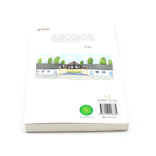 叫一声老师/黄蓓佳倾情小说系列 商品图3