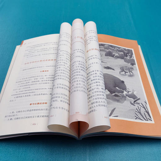 森林报(冬彩插励志版无障碍阅读)/中小学生阅读指导丛书 商品图3