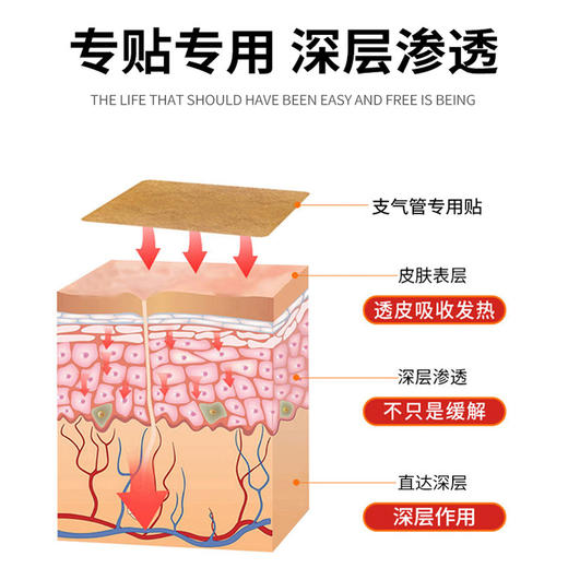 【买2送1 买3送2】苗济众支气管贴穴位保健贴 深层渗透 科学配比 商品图2