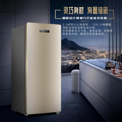 海尔（Haier）冷柜BD-138W小富豪炫金 商品图9