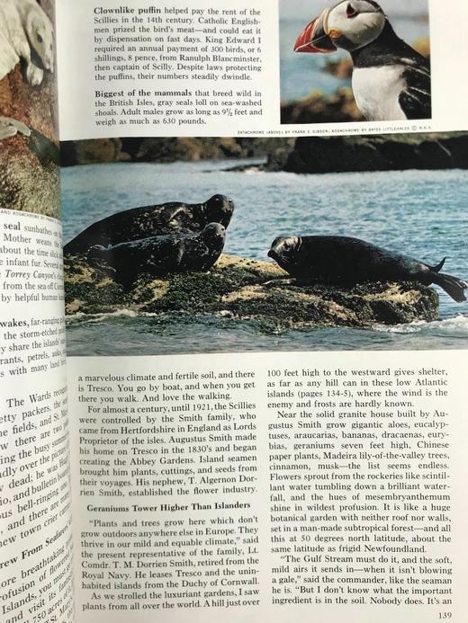 1967年下半年 国家地理杂志 约千幅彩色插图 精装16开 商品图10