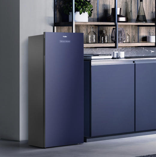 海尔（Haier）冷柜BD-152WGHS9B8立式冷冻柜深海蓝 商品图1