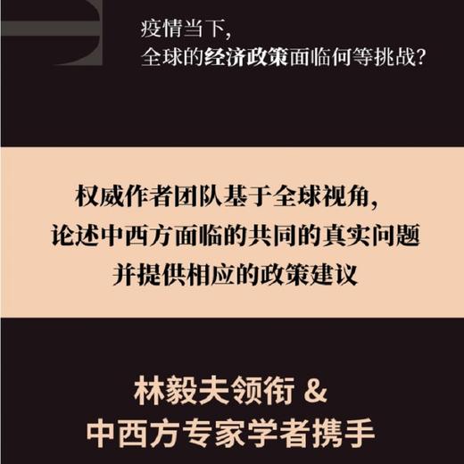 中国与西方 当前经济 政策与应对 林毅夫等 著 共论全球经济与政策 应对不确定的世界 数字经济 发展经济学 中信出版 商品图1