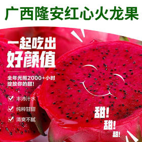 【圳品】广西隆安优质红心火龙果10斤（中大果）【广西扶贫产品】