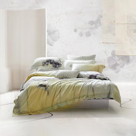 罗莱 雅·浮生似梦四件套TS0369-4