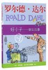 好小子--童年故事/罗尔德·达尔作品典藏 商品缩略图0