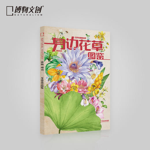 博物杂志 2022年增刊礼盒《身边花草图鉴》 商品图2