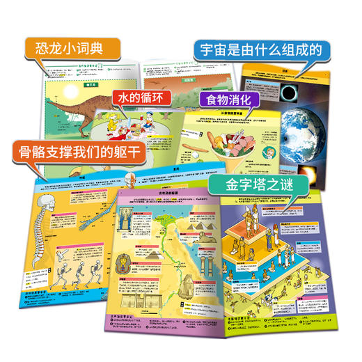 眼界丛书ㆍ一看就懂的通识绘本（全18册）4岁+ 18大主题3000个知识点 商品图4