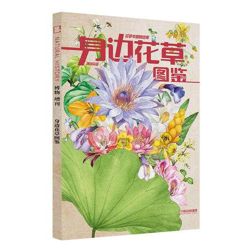 博物杂志增刊 四时有味 美味博物学 身边花草图鉴 博物君式科普 中小学生青少年科普课外读物 商品图5