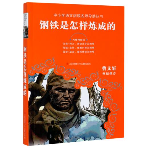 钢铁是怎样炼成的(无障碍阅读)/中小学语文阅读名师导读丛书 商品图0