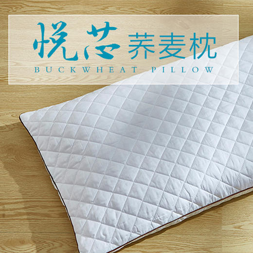 罗莱悦芯荞麦枕 商品图1