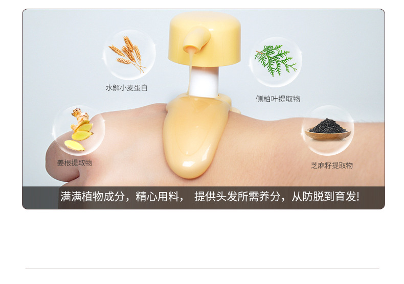 生姜洗发水II代_07