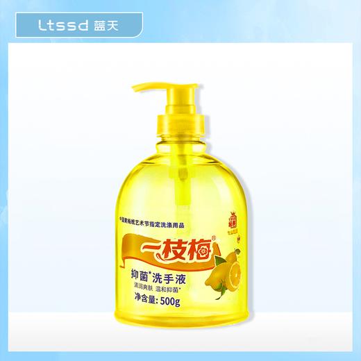 一枝梅柠檬抑菌洗手液【21002394】 商品图0
